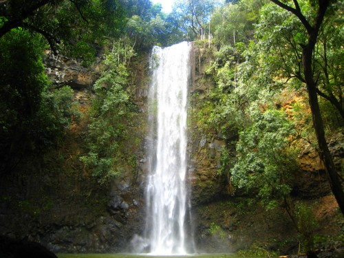 A stunning waterfall cascading down rocky cliffs, surrounded by lush green trees and foliage.