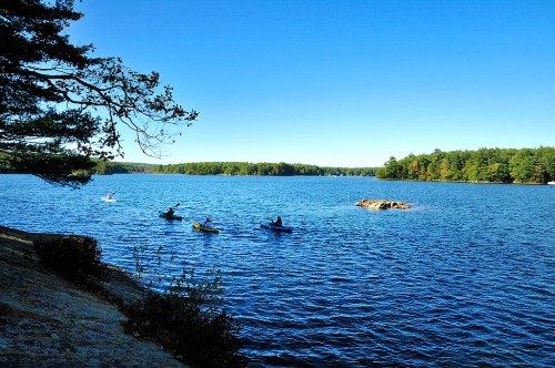 Three kayakers paddle across a calm lake surrounded by trees under a clear blue sky.