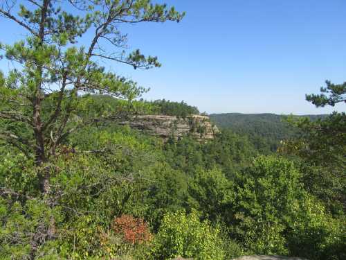 A scenic view of lush green trees and a rocky cliff under a clear blue sky.