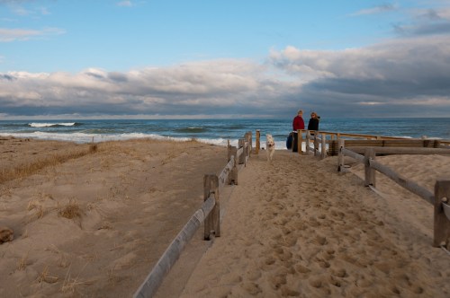 Two people and a dog walk along a sandy path leading to the beach, with waves and clouds in the background.