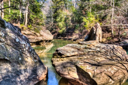 A serene forest scene featuring a calm stream surrounded by large rocks and lush greenery.