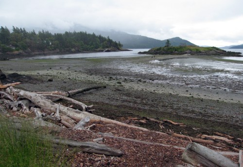 Foggy Orcas Island shoreline with driftwood, tidal flats, and forested hills in the distance under a cloudy sky.