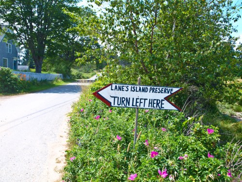 A sign directing to Lane's Island Preserve, with "Turn Left Here" written on it, surrounded by greenery and flowers.