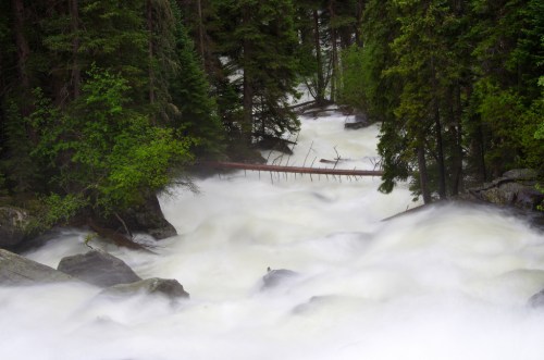 A rushing river flows through a forest, with rocks and trees surrounding the turbulent water.
