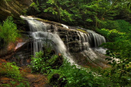 A serene waterfall cascading over rocks, surrounded by lush green foliage and trees in a tranquil forest setting.