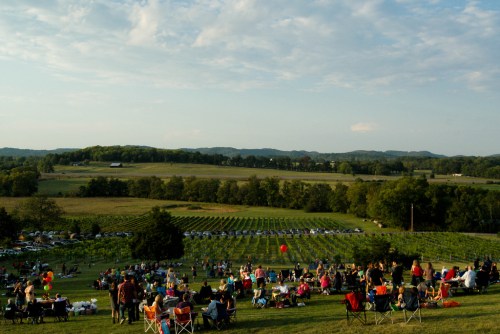 A large crowd sits on a grassy hill overlooking a vineyard and rolling hills under a blue sky with scattered clouds.