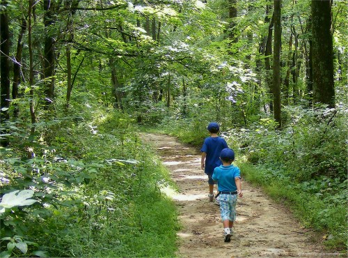 Two children walking along a dirt path in a lush green forest, surrounded by trees and foliage.