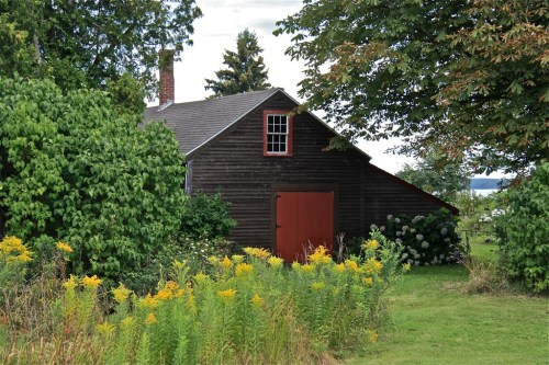 A rustic wooden barn surrounded by greenery and yellow wildflowers under a cloudy sky.