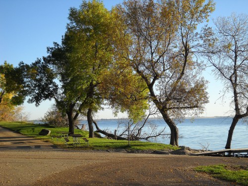 A serene lakeside scene with trees in autumn colors, a clear sky, and a calm water surface.