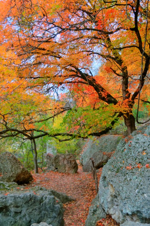 A scenic path surrounded by vibrant autumn trees and rocky terrain, with colorful leaves scattered on the ground.