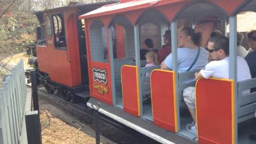 A small red train with passengers riding in open cars, traveling along a scenic outdoor track.