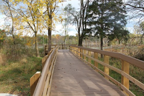 A wooden boardwalk winds through a natural area with trees and autumn foliage, leading to a serene landscape.