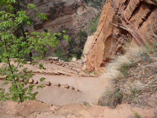 A steep, rocky trail descends through red rock formations, surrounded by greenery and a canyon view.