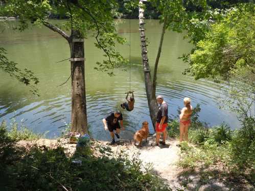 A group of people by a river, one swinging on a rope, with a dog nearby and trees surrounding the scene.