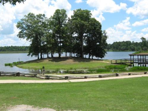 A serene lake scene featuring an island with trees, surrounded by water and a grassy shore under a blue sky with clouds.