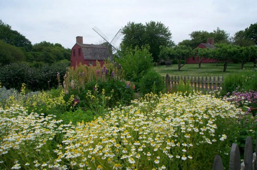 A vibrant garden filled with wildflowers in front of a red barn and windmill, surrounded by lush greenery.
