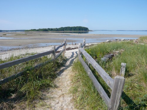 A sandy path leads to a beach with low tide, framed by wooden fences and grass, under a clear blue sky.