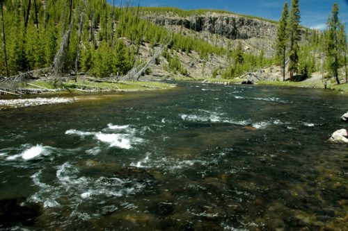 A serene river flows through a lush green landscape, surrounded by trees and rocky hills under a clear blue sky.