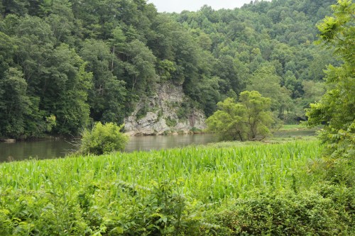 Lush green landscape with a river, surrounded by trees and a rocky cliff in the background.