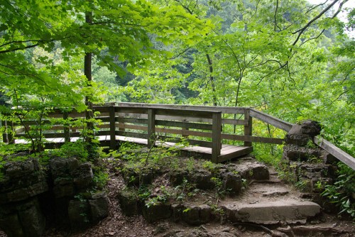 A wooden observation deck surrounded by lush green trees and rocky terrain in a natural setting.