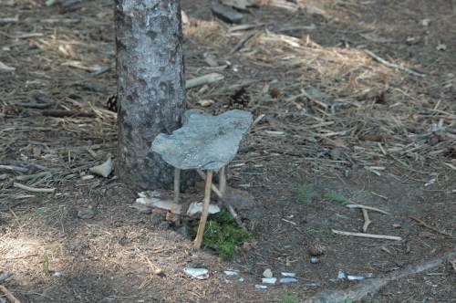 A small, makeshift table made of a flat stone and three sticks, set on the forest floor near a tree.