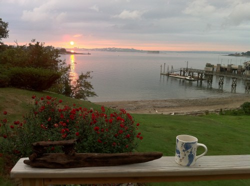 A serene sunset over a calm bay, with a coffee mug and driftwood on a wooden railing, surrounded by blooming roses.