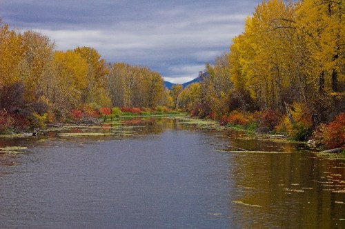 A serene river surrounded by vibrant autumn foliage and cloudy skies, reflecting the colorful trees along the banks.