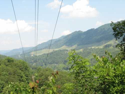 A scenic view of green mountains under a blue sky, with power lines stretching across the foreground.