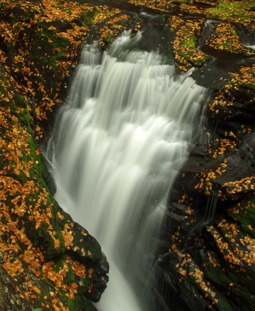 A serene waterfall cascades over rocks, surrounded by vibrant autumn leaves.