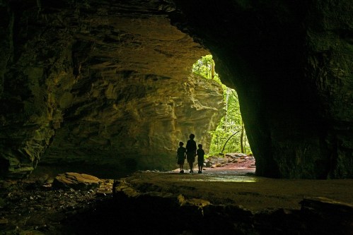 Silhouettes of three people walking out of a cave, with lush greenery visible in the bright light outside.
