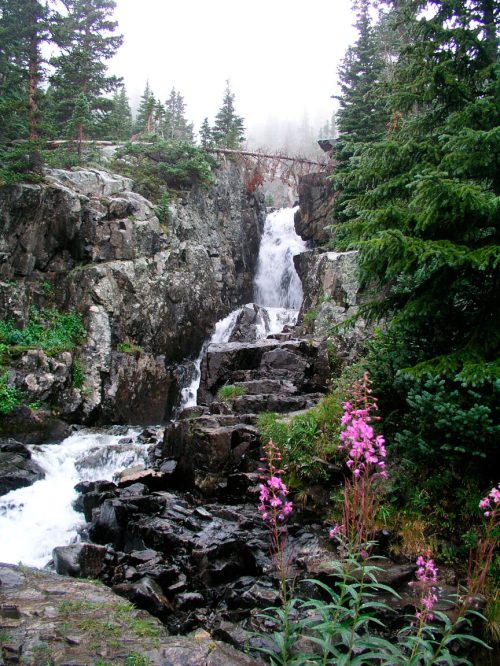 A cascading waterfall flows over rocky terrain, surrounded by lush greenery and pink wildflowers.