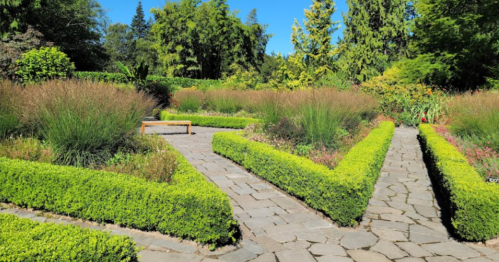 A serene garden with neatly trimmed hedges, stone pathways, and vibrant greenery under a clear blue sky.