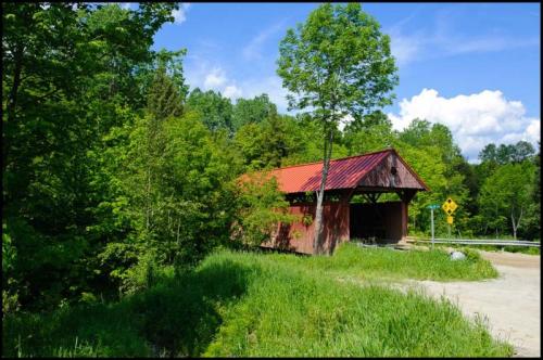 A red covered bridge surrounded by lush green trees and grass, with a blue sky and white clouds in the background.