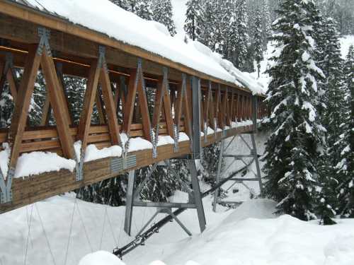 A wooden bridge covered in snow, surrounded by tall evergreen trees in a winter landscape.