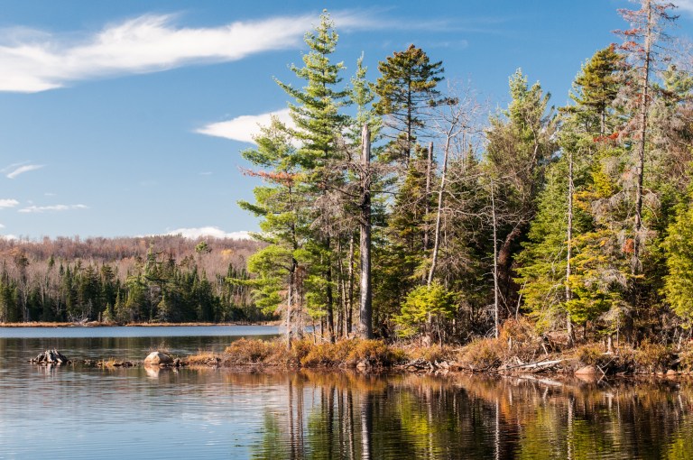 Cranberry Lake State Campground, Cranberry Lake