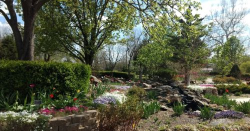 A vibrant garden scene with colorful flowers, lush greenery, and a small rock formation under a clear blue sky.
