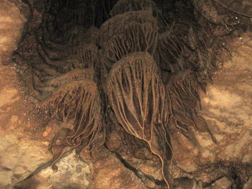 Close-up of intricate cave formations resembling delicate, flowing tendrils against a rocky background.