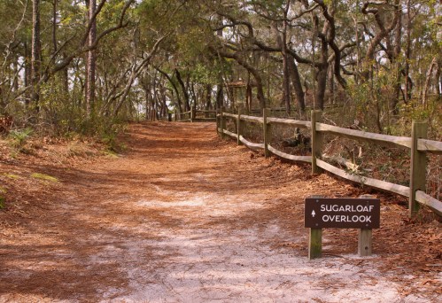 A wooded path with a sign for "Sugarloaf Overlook," surrounded by trees and a wooden fence.