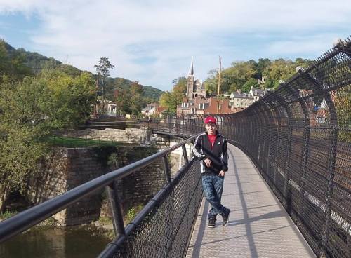 A person stands on a bridge with a scenic view of trees and buildings in the background.