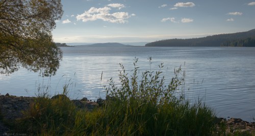 A serene lake view with gentle waves, surrounded by trees and grasses under a clear blue sky.