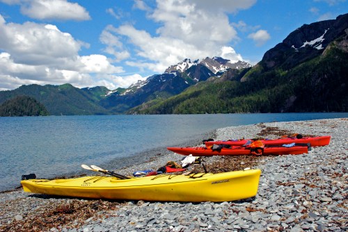 things-to-do-in-alaska-in-the-summer-for-your-bucket-list