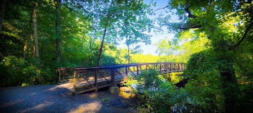 A wooden bridge surrounded by lush green trees, crossing over a calm stream in a serene natural setting.