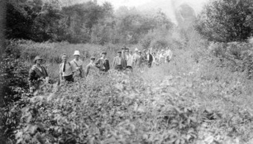 A group of people walking through a dense, overgrown area, surrounded by trees and foliage.