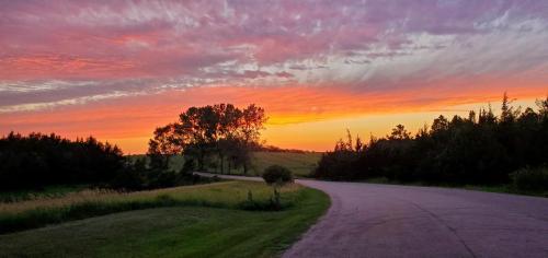 A vibrant sunset paints the sky in shades of orange and purple over a winding road and lush green fields.