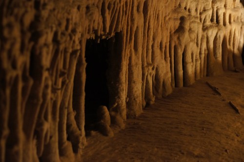 A dimly lit cave interior with textured rock formations and a dark entrance in the background.