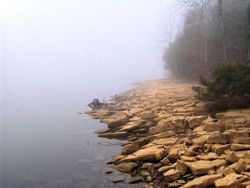 A foggy shoreline with rocky terrain and trees partially obscured by mist over a calm body of water.