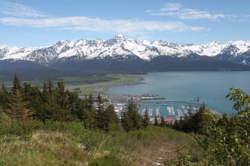 A scenic view of snow-capped mountains overlooking a calm bay with a marina and lush greenery in the foreground.