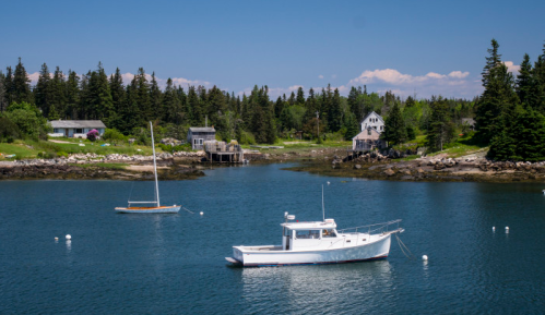A serene coastal scene with boats in a calm harbor, surrounded by lush greenery and quaint houses under a clear blue sky.