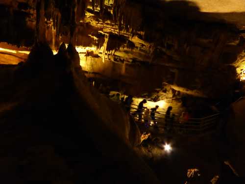 Visitors explore a dimly lit cave, illuminated by soft lights, with rock formations and a railing in view.