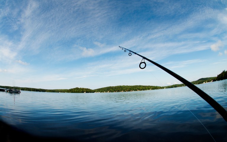 Cranberry Lake State Campground, Cranberry Lake